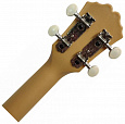 TERRIS PLUS-50 RD