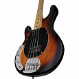 STERLING StingRay Vintage Sunburst
