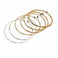 ROCKDALE PRO 11-52 Phosphor Bronze Medium