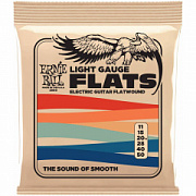ERNIE BALL 2580