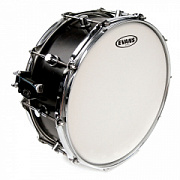 Evans B12HD Genera HD
