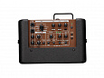 VOX MINI GO 10 BR