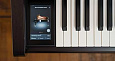KAWAI CA701 R, с банкеткой
