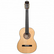 CASCHA CGC310 Performer Series
