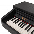 ROCKDALE Fantasia 128 Graded Black